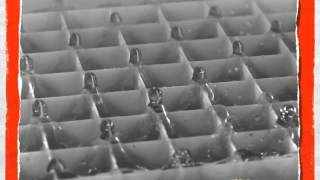Faraday instability on a network