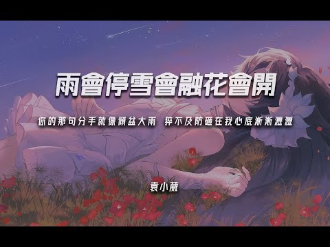 袁小葳《雨會停雪會融花會開》“你的那句分手就像傾盆大雨 猝不及防砸在我心底淅淅瀝瀝”【動態歌詞/PinyinLyrics】♪