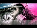 Ghost Engine | Drift Phonk Bass | Dark Night Power 🚗💨