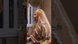 رمضان كريم - الامهات والكهرباء - زينه رمضان