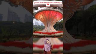 Jamur Enoki Terbesar Negara Muslim Dan Nonmuslim 