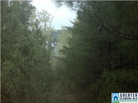 5 CO RD 919 5, Clanton, AL home video tour