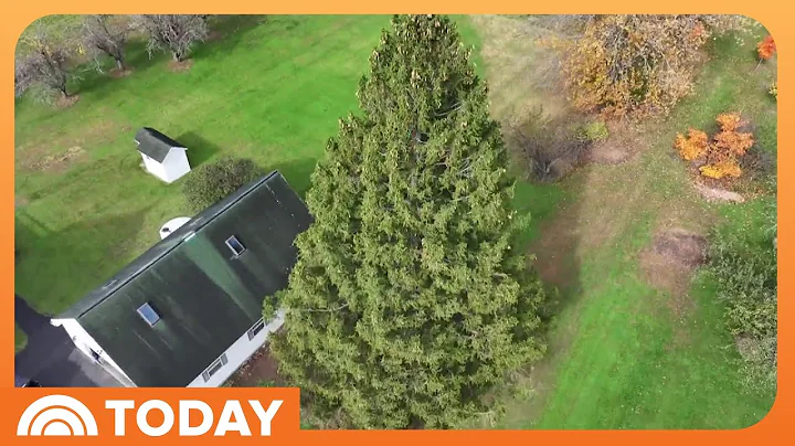 Meet the Family Donating the 2025 Rockefeller Christmas Tree