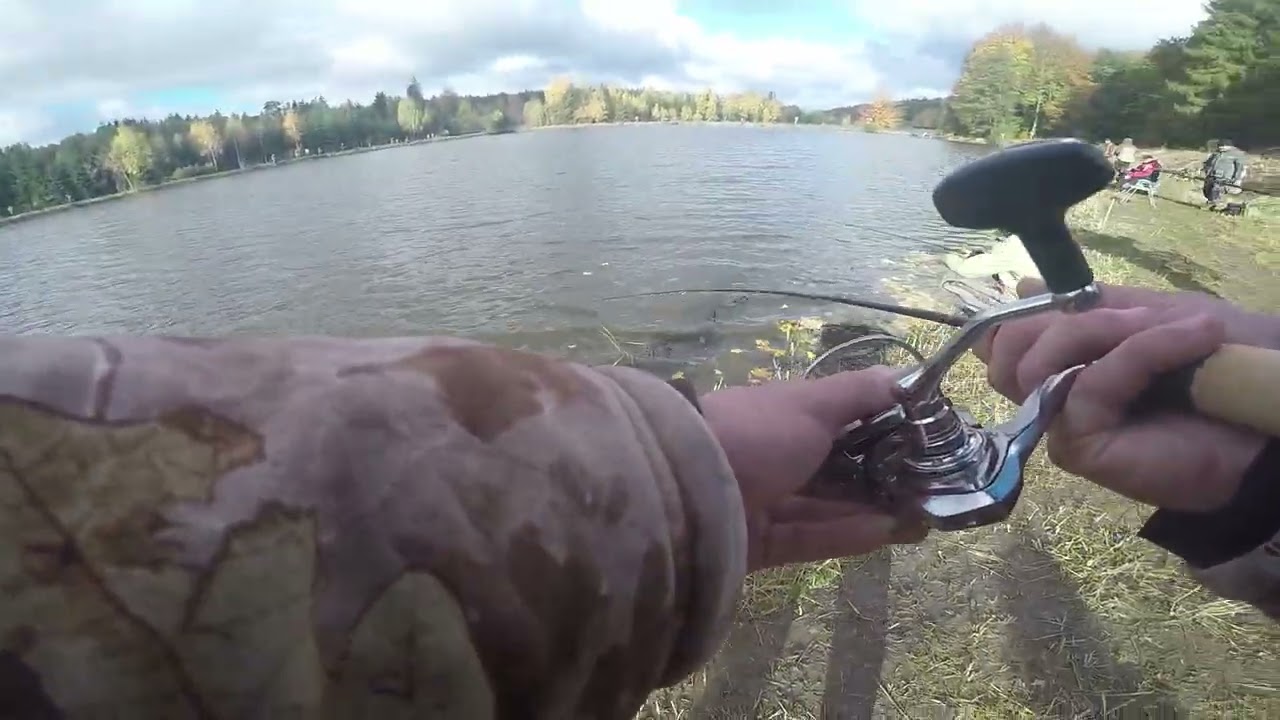 Prívlačový pretek dvojíc - Polička 2025 jeseň