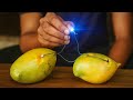 No Battery Just Mangoes This Fruit Powers an LED Shocking Science Experiment