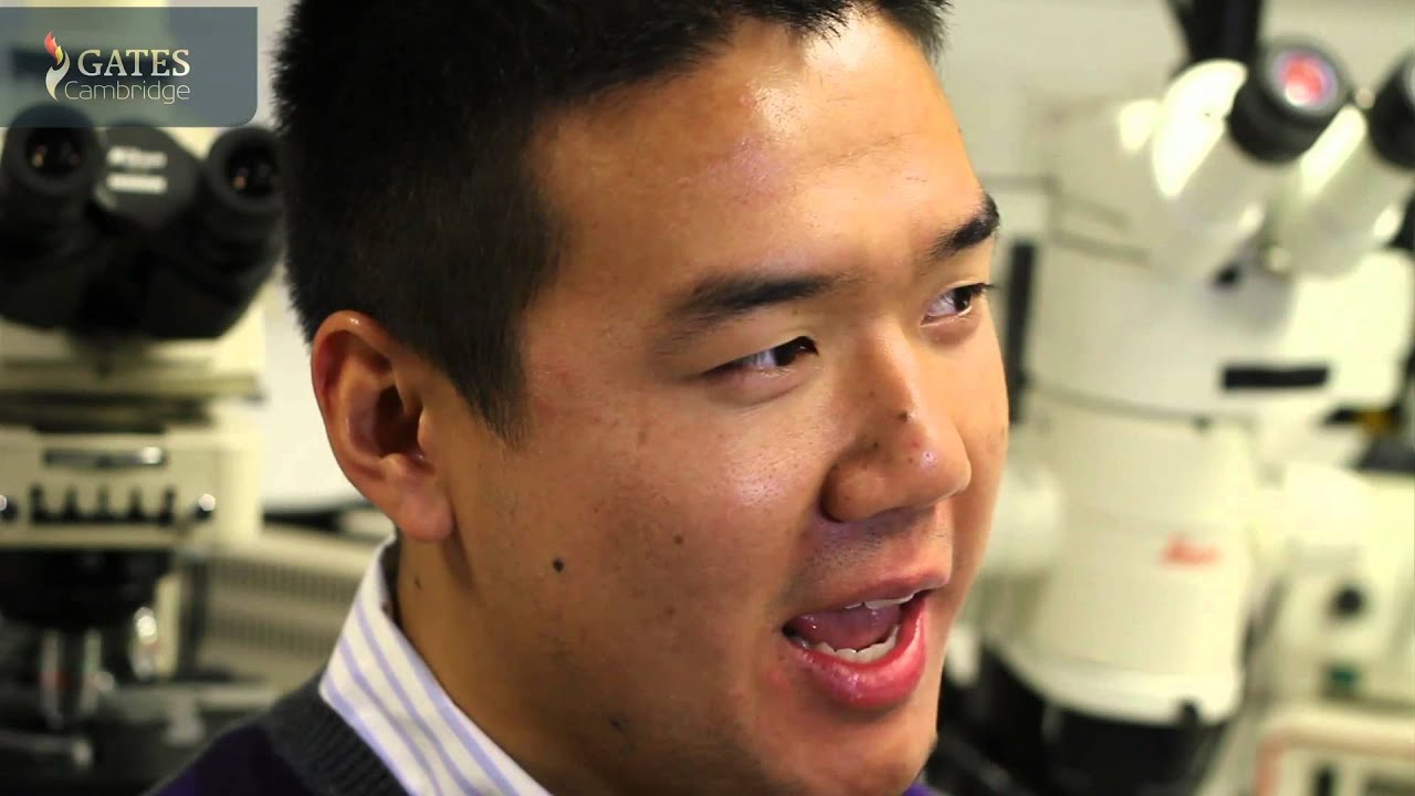 Stan Wang: the future of regenerative medicine