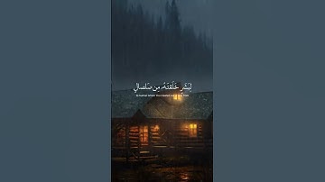 سحر الفجر.. تلاوة تهدي القلب وتشرح الصدر 🌅✨