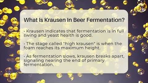 What Is Krausen In Beer Fermentation? - The Pint Guy