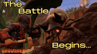 Hunting Giant Ox Beetles - Grounded Ep. 27