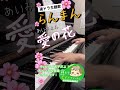 連ドラ主題歌「愛の花」🌸中2ピアノ男子豆キチです🎹