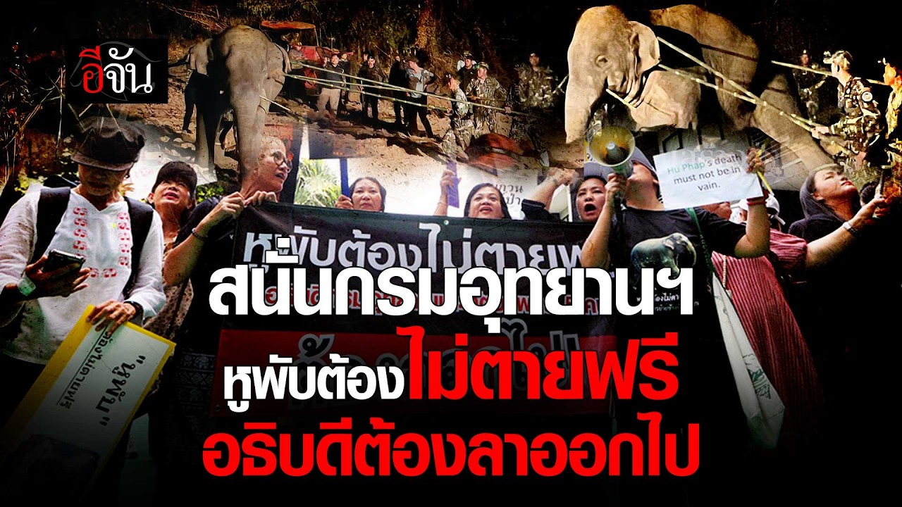 สนั่นกรมอุทยานฯ หูพับต้องไม่ตายฟรี อธิบดีต้องลาออกไป | อีจัน EJAN
