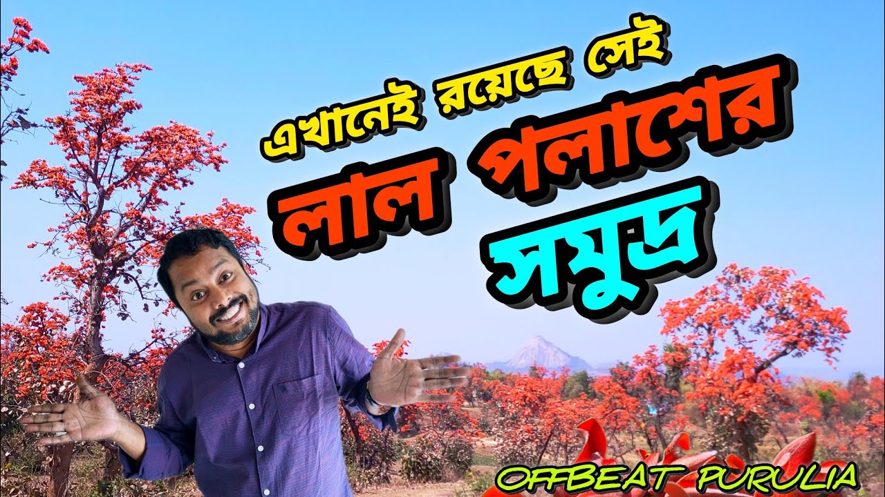 বসন্তের পুরুলিয়া | লাল পলাশের বন | PURULIA TOUR | PALASH PHOOL | JAJAHATU | Travel Vlog 55