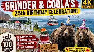 Grouse Mountain Bears’ 25th Birthday 🎉 Grinder & Coola | Grouse 100 Celebration #vancouver #canada 