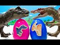 Dinosaur Puzzle In Dino Giant Egg | Tyrannosaurus Rex Spinosaurus 공룡알 쥬라기월드 티라노사우루스 스피노사우루스