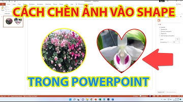Cách Chèn Ảnh Vào Shape Trong Powerpoint
