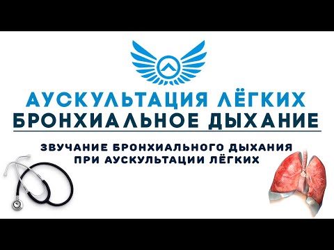 Аускультация лёгких: бронхиальное дыхание