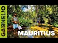 Mauritius folge ii  die blauen garnelen von mauritius