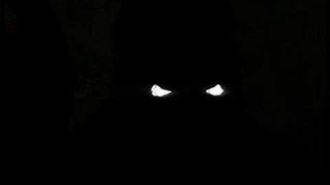 Smod Outbreak Introduction