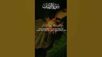 Surah As- Saff ( سورة الصف ) 😍 ❤️