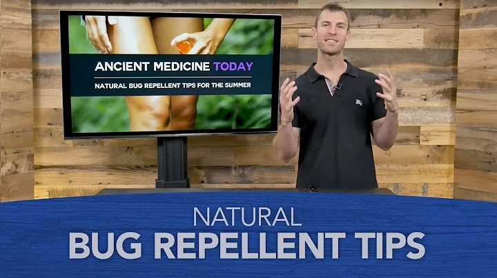 Natural Bug Repellent Tips for the Summer - DayDayNews