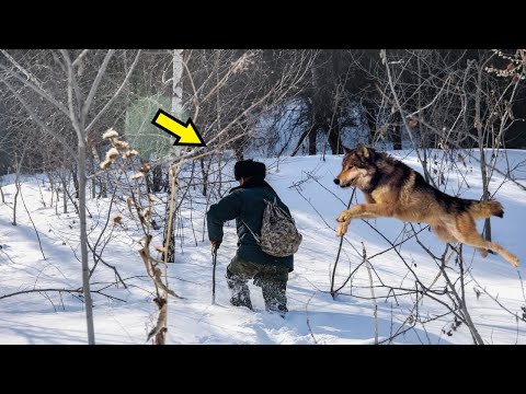 Video: Jakutian luonto on kauneutta, joka täytyy nähdä omin silmin