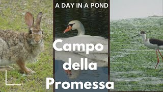 Exploring the Hidden Gems of Campo della Promessa - Short Documentary