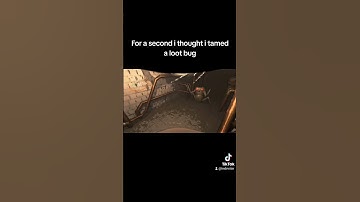 seems like a chill loot bug