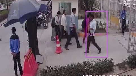 Apc (Automatic Pedestrian Count) Software