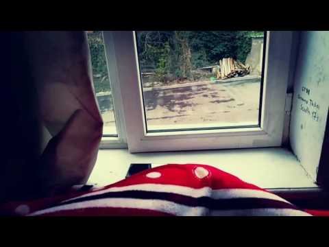 ნაადრევი ქორწინება