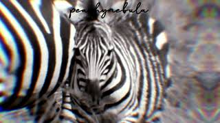 ✧ two black hooves | kintype