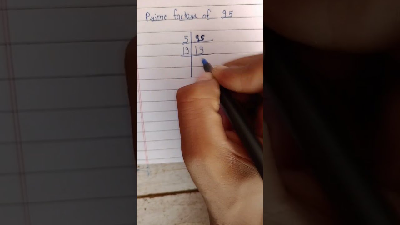 Prime Factors Of 95 Shorts
