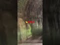 【心霊現象？⁉️】トンネルにて女性らしき形をした何かが❗️