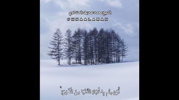 { أَرَضِيتُم بِالْحَيَاةِ الدُّنْيَا مِنَ الْآخِرَةِ } الشيخ المنشاوي حالات واتساب تلاوة خاشعة