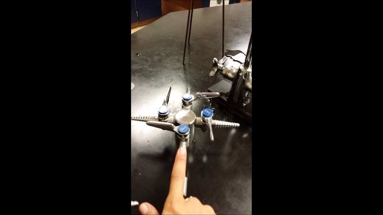Popcorn Lab Pre Lab