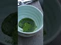 Ceremonial matcha: how Uji tea leaves become fine green powder