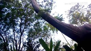 Download lagu Valens Vlog (Jurassic World Ancol) #1