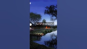 ماهر المعيقلي #قرآن سورة فاطر حالات وتس