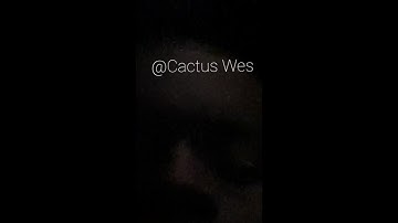 Sheck Wes - Too Many H**s (New Snippet)