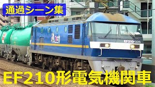 [JR Freight] EF210 type electric locomotive running collection known as Momotaro!