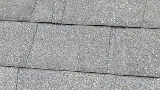 What brand roofing shingle is this?