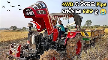 ମହିନ୍ଦ୍ରା 50hp 4WD ର କାଦୋ ଭିତରେ Pipe ଫାଟିଗଲା 😭| Mahindra 585 4WD With Trolley In Extreme Mud#tractor