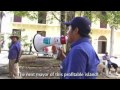 LA Film Fest: "Paraiso For Sale" Trailer