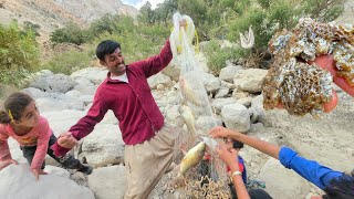 🐋🐟Struggle for Survival: The Exciting Journey of a Hundred Giant Fish in the Mountains
