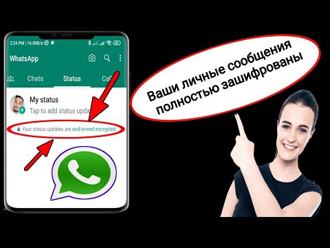 Как обновить WhatsApp сквозным шифрованием |  ваши обновления статуса полностью зашифрованы