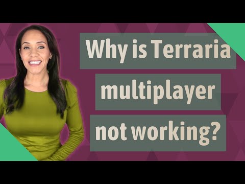 Why is Terraria multiplayer not working?