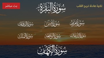 البقرة يس مريم الصافات الدخان الواقعة الملك الكهف - تلاوة هادئة