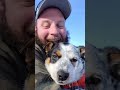 Dog tries to catch rain drops — wet and silly 🐶🌧️ #DogRain #FunnyDogs #Shorts #Trending #Viral