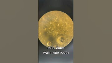 Apple under Microscope #microscope #microscopic #apple #zoom #vision #microscopy #microscopeworld