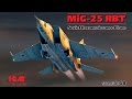 Советский самолет-разведчик МиГ-25 РБТ в масштабе 1:48 от фирмы ICM