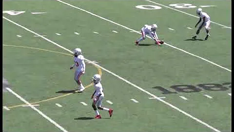 Lester-Norman 3